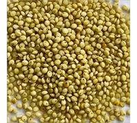 Ancient Grains Organic Brown Top (Browntop) Millet 1kg