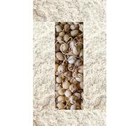 Ancient Grains Organic Sprouted Jowar Flour (Sorghum) 1kg