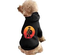 Ancient Greek Warrior Funny Dog Hoodie Sweatshirts Pet Pullover Puppy Cats Clothes for Small Medium Large