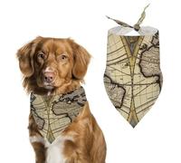Ancient Map World Globe Dog Bandanas for Feeding Grooming, Triangle Pet Bibs Washable Pets Scarf for Cats & Dogs