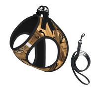 Ancient Map World Globe Print Dog Harness with Leash Set with Thickened Padded Vest for Extra-Small/Small Medium Dogs