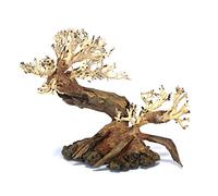 Ancient Pine Bonsai Tree Aquarium Fish Tank AquaScape Hand Picked & Hand Carved 23cm