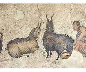 Ancient Roman Ancestor Worship