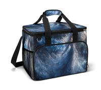 Ancient Spirit Woman with Wings Camping Cooler Bags Insulated Beach Cooler Portable Leak Proof Camping Cooler with Shoulder Strap