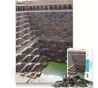 Ancient Stepwell Architecture 1000 Piece Jigsaws for Adults Brain Sharp Game Smooth Burr Free Surface Fascinating Hobby for Idle Moments (38x52cm)