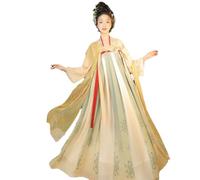 Ancient Tang Dynasty Hanfu Women's Ru Skirt with Chinese Han Elements