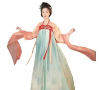 Ancient Tang Dynasty Hanfu Women's Ru Skirt with Chinese Han Elements