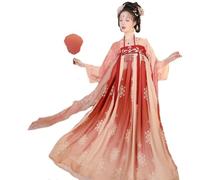 Ancient Tang Dynasty Hanfu Women's Ru Skirt with Chinese Han Elements