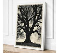 Ancient Tree Standing Canvas Wall Art Print 36x24 Inch (91 x 61 cm)