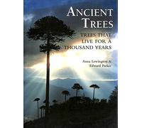 ANCIENT TREES: Trees That Live for 1000 Years