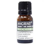 Ancient Wisdom 10 ml Eucalyptus Organic Essential Oil
