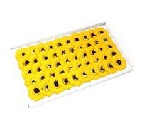 Ancient Wisdom Craft Soap Flowers - Sml Sunflower - Yellow