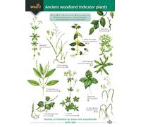 Ancient Woodland Indicator Plants (WildID)