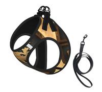 Ancient World Globe Print Small Dog Harness with Leash Set, No Escape Easy Walk Puppy Harnesses for Training Walking