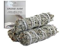 Ancientveda USDA Organic Sage Pack of 3 Bundles & Smudge Guide for Smudging, Cleansing, Meditation, Purification (Essential Sages, Blue Sage)