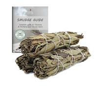 Ancientveda USDA Organic Sage Pack of 3 Bundles & Smudge Guide for Smudging, Cleansing, Meditation, Purification (Essential Sages, Yerba Santa Sage)