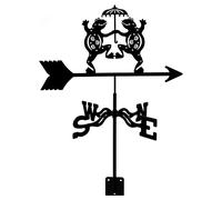 ANCNA Metal Weathervane with Frog Ornament, Garden Stake Weather Vane Wind Vane Professional Measuring Tool Wind Direction Indicator Garden Yard Roof Mount