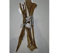 Anco Giant Buffalo Sticks 1kg. Approx 30-40cm long100% Buffalo 100% Natural Soft Dog Chews Treats Hypo-Allergenic Grain Free Gluten Free by Two Amigos Pet Supplies