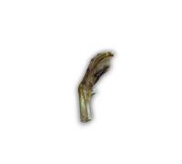Anco Naturals Duck Foot - Size: Single - Treats for Dogs