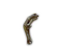Anco Naturals Goose Foot - Size: Single - Treats for Dogs