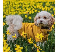 Ancol Cable Knit Dog Jumper - Mustard - Size: Small - Dog Jackets