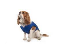 Ancol Cooling Dog Vest Coat, Small
