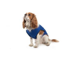 Ancol Cooling Dog Vest Coat, X-Small