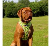 Ancol Dino & Ice Cream Reversible Harness - Multi-Coloured - Size: Medium