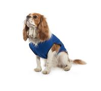 Ancol Pet Cooling Coat Large 50 cm,Blue