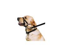 Ancol Training Halter for Dogs - Medium - Size 3 - 4