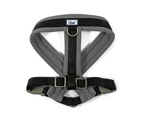 Ancol Durable Viva Reflective Padded Adjustable Harness - Black