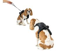 Ancol Extreme Hybrid Dog Harness - Black - Size: Large