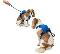 Ancol Extreme Hybrid Dog Harness - Blue - Size: X Large