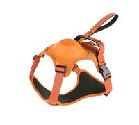 Ancol Extreme Hybrid Dog Harness in Hazard Orange with Air Mesh Chest Padding, 4 Way Fully Adjustable Fit and Fixed Handle for Quick Grab - Large
