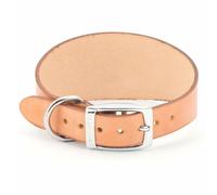 Ancol Leather Whippet Dog Collar Tan Studded Bridle Leather Durable Comfortable Training Accessory with Sturdy Buckle and D Ring - 30-34 cm