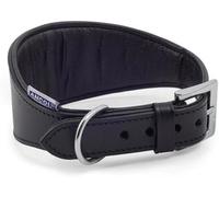 Ancol Greyhound Padded Collar - Premium Bridle Leather Dog Collar with Soft Pad