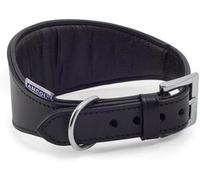 Ancol Greyhound Padded Collar - Premium Bridle Leather Dog Collar with Soft Pad