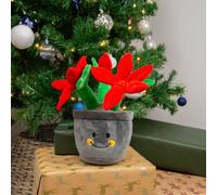 ANCOL Henrietta Poinsettia