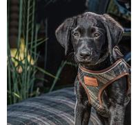 Ancol Heritage Collection Dog Harness Check - Small/Medium
