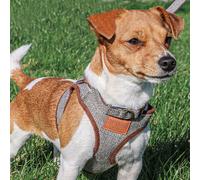 Ancol Heritage Step In Harness - Size: Small