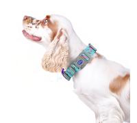 Ancol Ice Cream Patterned Dog Collar - Multi-Coloured - Size: Medium