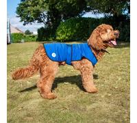 Ancol Ice Paws Dog Cooling Coat - Perfect for Summer, Sizes for All Dogs