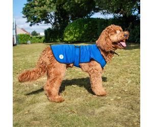 Ancol Ice Paws Dog Cooling Coat - Perfect for Summer, Sizes for All Dogs