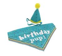 Ancol Its My Birthday Dog Hat & Bandana in Blue - Sparkly Adorable Puppy Scarf Tie Neckerchief - Party Pet Collar Accessory
