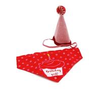 Ancol Its My Birthday Dog Hat & Bandana in Pink - Sparkly Adorable Puppy Scarf Tie Neckerchief - Party Pet Collar Accessory