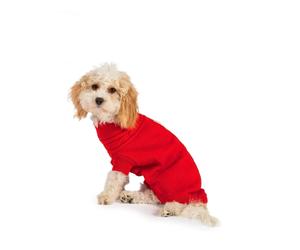 Ancol Knitted Jumper Red - Winter Jacket,Jersey,Coat - XS to L