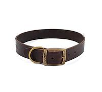 Ancol Latigo Flexible Stretchy Dog Collar Havana Leather Pet Training Accessory with Antique Gold Fixings - Soft and Resilient - Size 8 - 55-63 cm