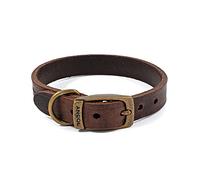 ANCOL Latigo Flexible Stretchy Havana Collar Animal Pet Training Accessory 26-31 cm, Size 2