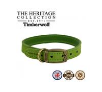 Ancol Leather Lead Timberwolf – Green – 1m x 19mm