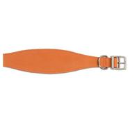 Ancol Leather Whippet Dog Collar Tan Studded Bridle Leather Durable Comfortable Training Accessory with Sturdy Buckle and D Ring - 30-34 cm